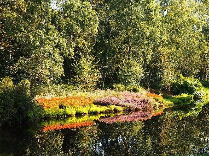 Excursion: Amstelveen Heemparks